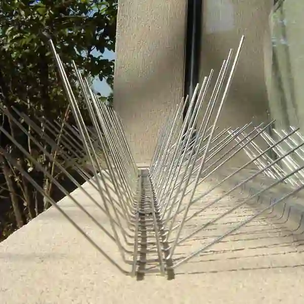 pinchos_y_puas_anti-palomas